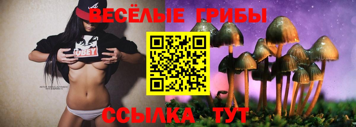 Похвистнево  Псилоцибиновые грибы GOLDEN TEACHER  Псилоцибиновые грибы Cubensis  дарнет шоп  Вход с VPN 